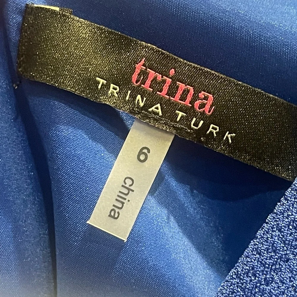 Trina Turk Women's Quest Ruffle Detailed V Neck Dress - Blue - Size 6